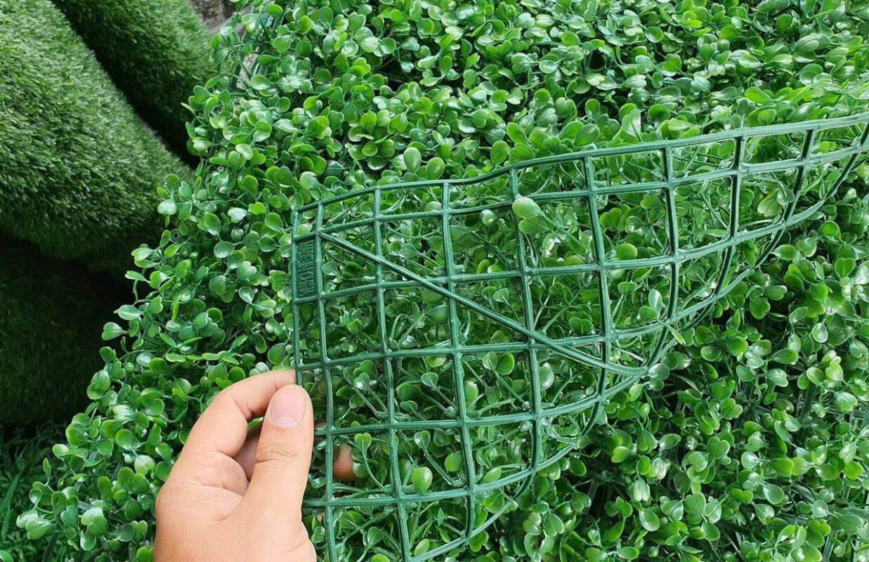 Các Mẫu Cỏ, Điểm